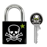 Visací zámek Master Lock z pevného hliníku 3430EURDSKULL — 30mm